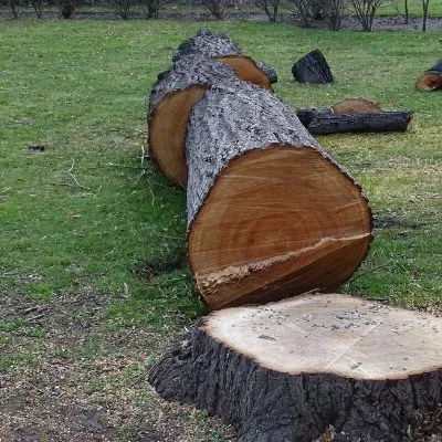 dessouchage à Séné